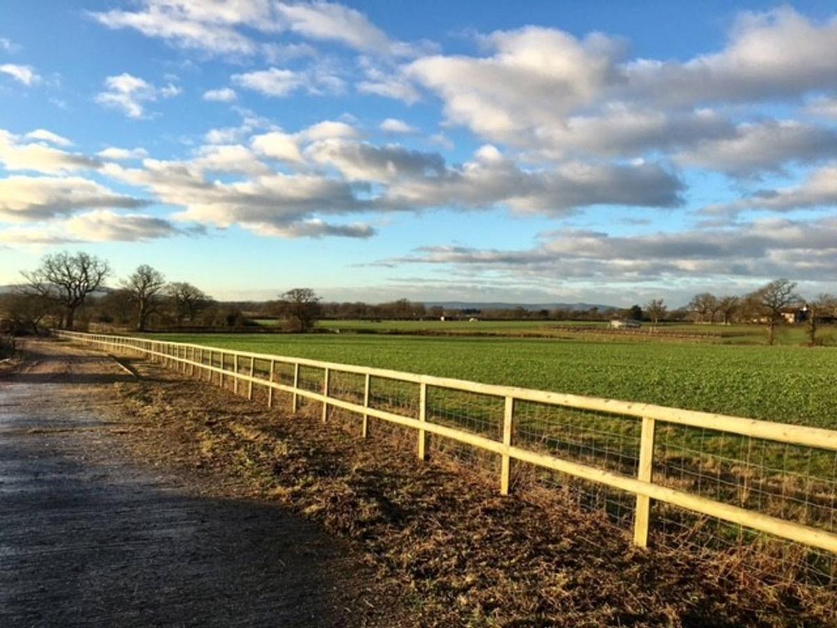 North Cottage - Country Retreat In The Heart Of Sussex -Twineham מראה חיצוני תמונה