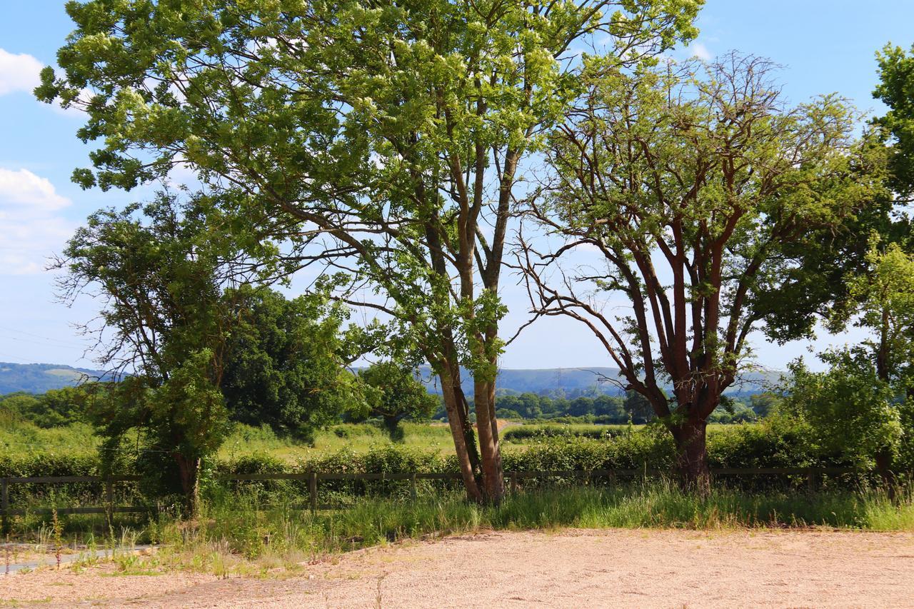 North Cottage - Country Retreat In The Heart Of Sussex -Twineham מראה חיצוני תמונה
